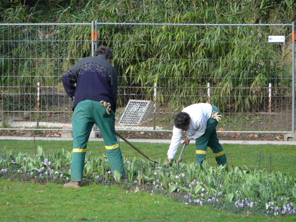 servicios de jardinería