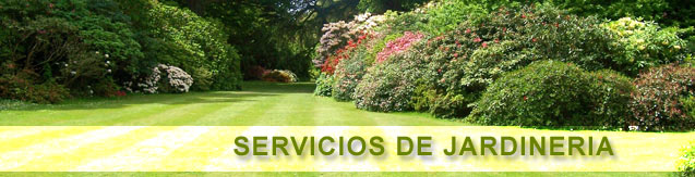 Servicio de mantenimiento de jardines